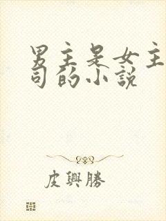 男主是女主的上司的小说