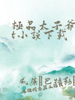 极品太子爷txt小说下载