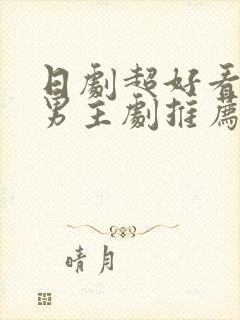 日剧超好看的双男主剧推荐