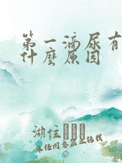 第一滴尿有血是什么原因