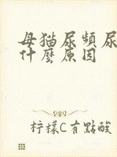 母猫尿频尿少是什么原因