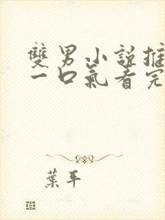 双男小说推文 一口气看完