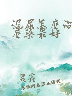 漏尿怎么治吃什么药最好