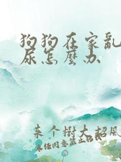 狗狗在家乱拉乱尿怎么办