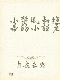 小楚风和绝世女帝的小说免费阅读