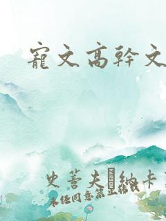 宠文高干文推荐