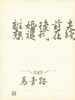 离婚后前夫总是想追我在线阅读