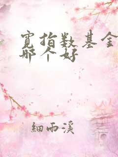 宽指数基金定投哪个好