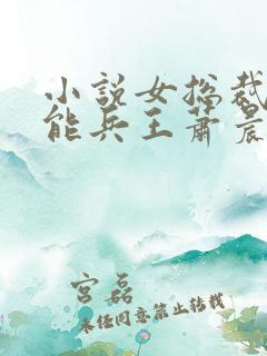 小说女总裁的全能兵王萧晨