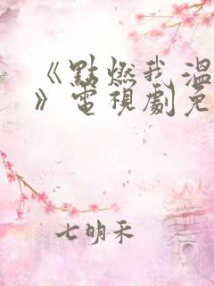 《点燃我温暖你》电视剧免费观看