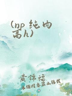 (np 纯肉 高h)