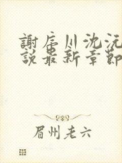 谢序川沈沅珠小说最新章节免费阅读