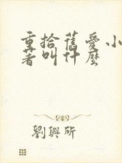 重拾旧爱小说原著叫什么