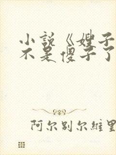 小说《嫂子我真不是傻子了叶凡》