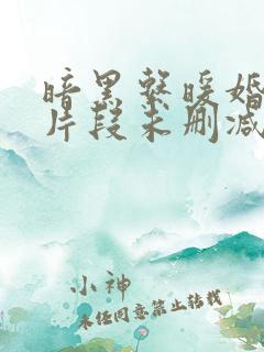 暗黑系暖婚开车片段未删减版