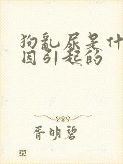 狗乱尿是什么原因引起的