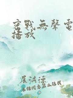 密战无声电视剧播放