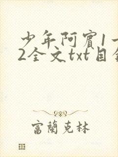 少年阿宾1一72全文txt目录