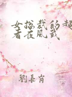 女总裁的超级王者夜风武