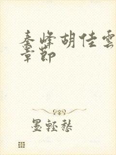 秦峰胡佳云最新章节