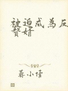 被迫成为反派的赘婿