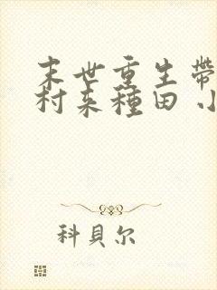 末世重生带着全村来种田 小说