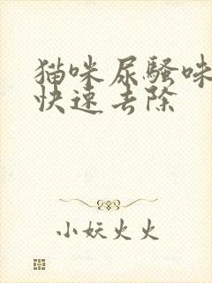 猫咪尿骚味怎么快速去除