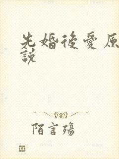 先婚后爱原著小说