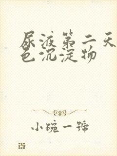 尿液第二天有白色沉淀物