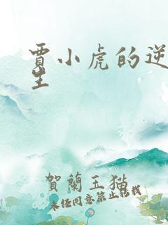 贾小虎的逆袭人生