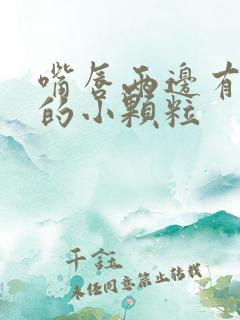 嘴唇两边有白色的小颗粒