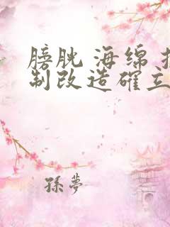 膀胱 海绵 控制改造确立m