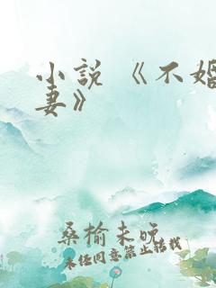 小说 《不婚夫妻》