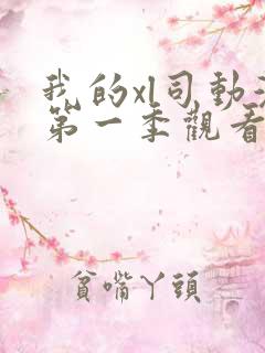 我的xl司动漫第一季观看完整版