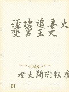 渣攻追妻火葬场双男主文