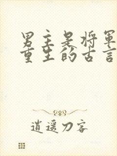 男主是将军女主重生的古言