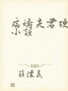 病娇夫君硬上弓小说