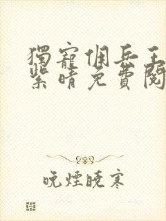 独宠佣兵王妃韩紫晴免费阅读无弹窗