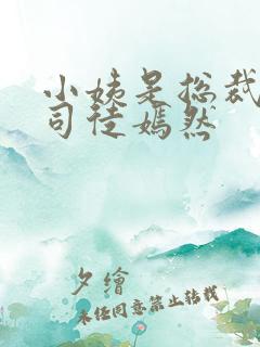 小姨是总裁叶凡司徒嫣然