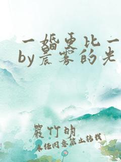 一婚更比一婚高by晨雾的光