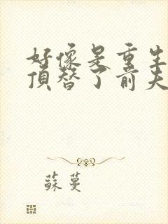 好像是重生后我顶替了前夫白月光