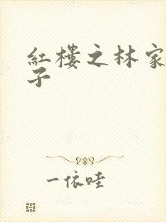 红楼之林家庶长子