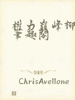 权力巅峰柳擎宇笔趣阁