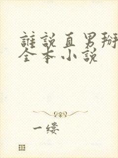 谁说直男掰不弯全本小说