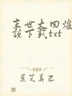 末世大回炉 小说下载txt