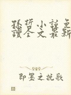 孙哲小说免费阅读全文最新章节下载