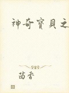 神奇宝贝之一辉