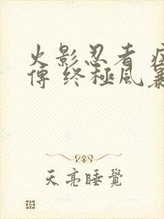 火影忍者 疾风传 终极风暴4