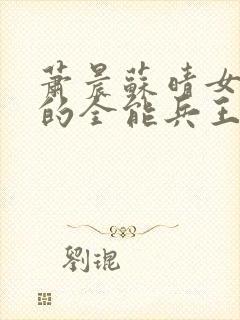 萧晨苏晴女总裁的全能兵王