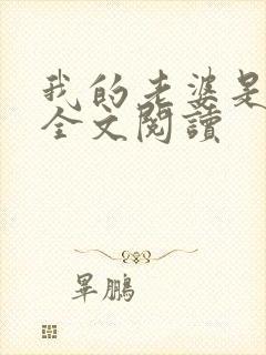 我的老婆是总裁全文阅读